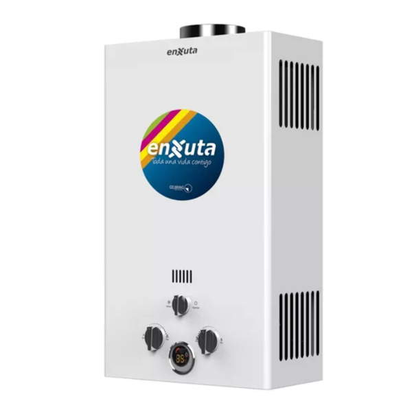 Imagen de TERMOTANQUE A GAS TENX10G
